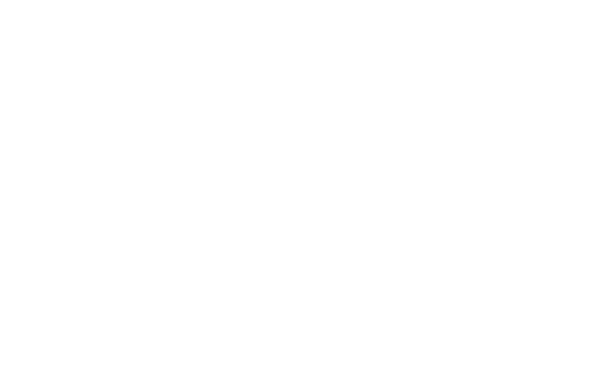 wellspring-logo-white image company logo